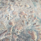 Fossilized tracks at Mill Canyon.